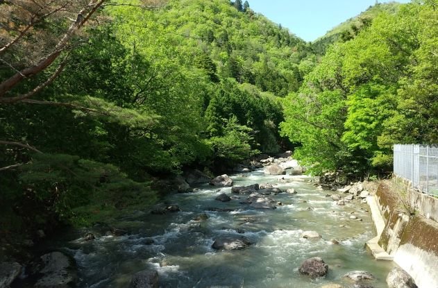 羽束川の流れ２