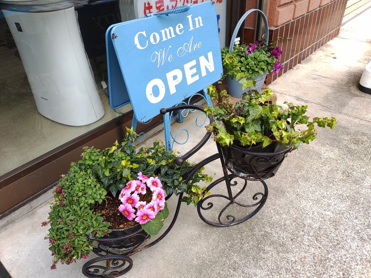 お店の花2023年2月-1